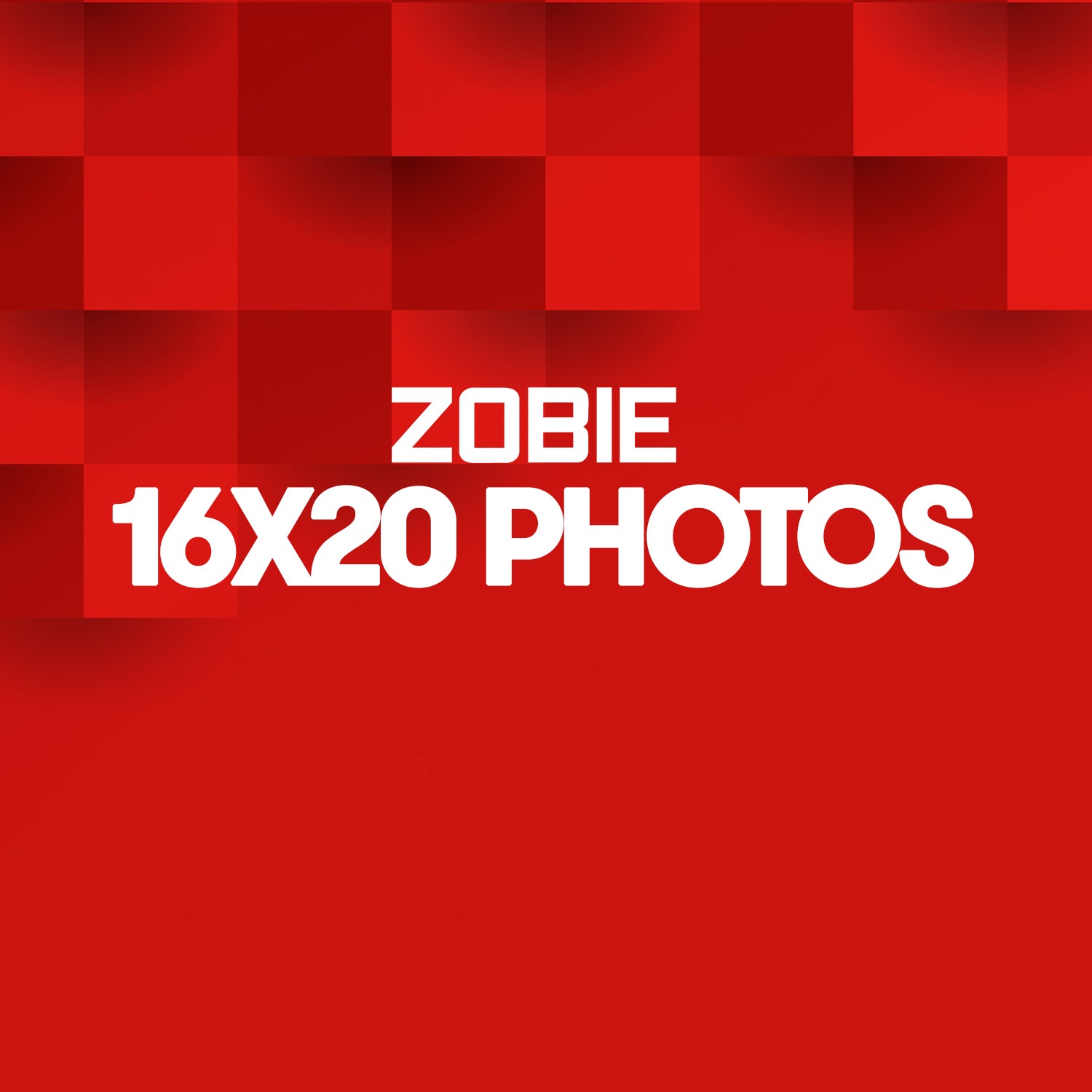 16x20 Photo – Zobie Productions