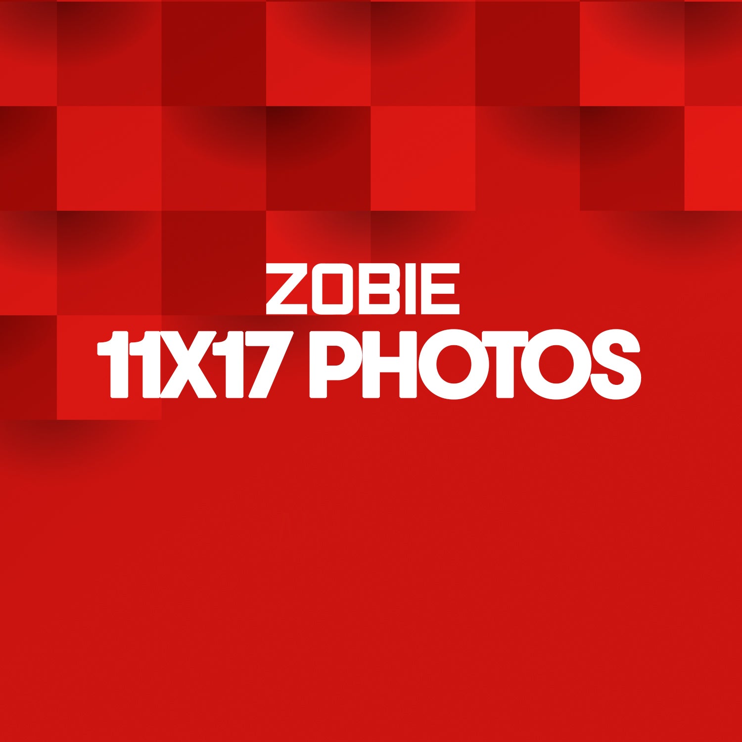 11x17 Photo