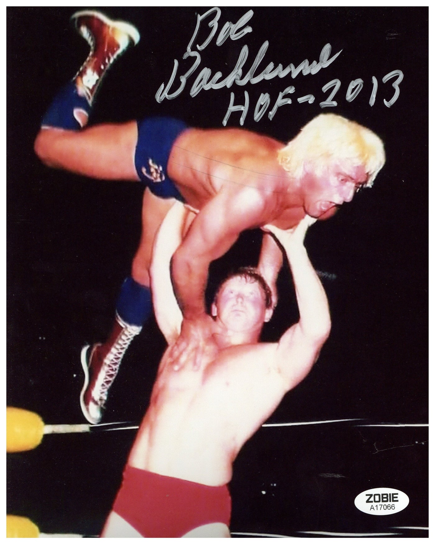 Bob Backlund Signed 8x10 Photo WWF WWE Pro Wrestling Autograph Zobie COA