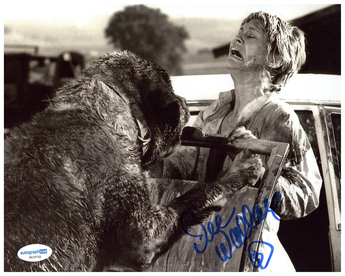 Dee Wallace Signed 8x10 Photo Cujo Horror Autographed ACOA