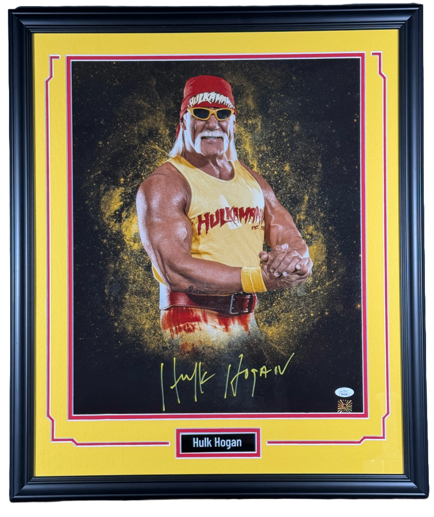 Hulk Hogan Signed 16x20 Photo Custom Framed WWE HOF Autographed JSA COA