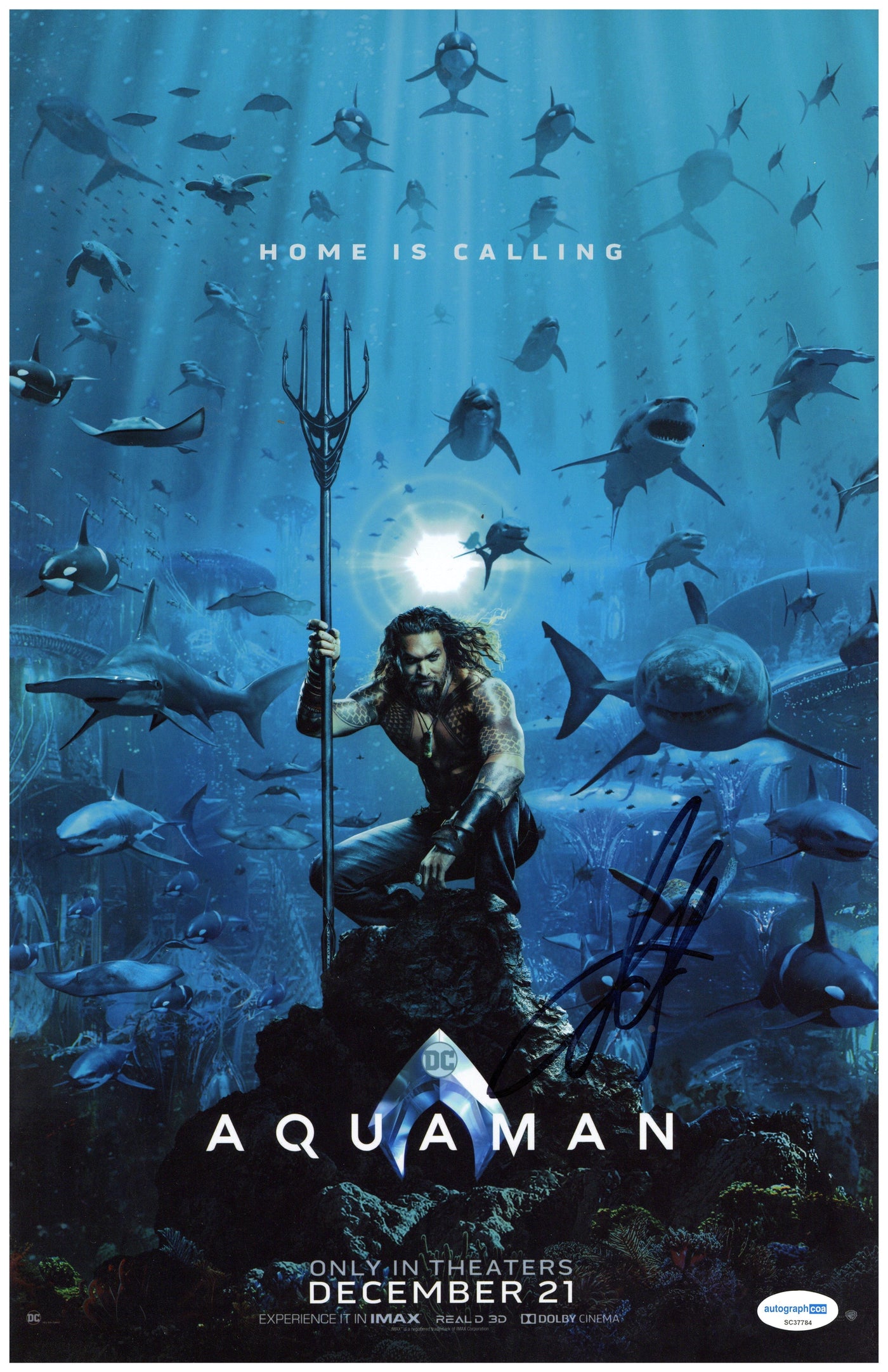 Jason Momoa Signed 11x17 Photo Aquaman Autographed ACOA