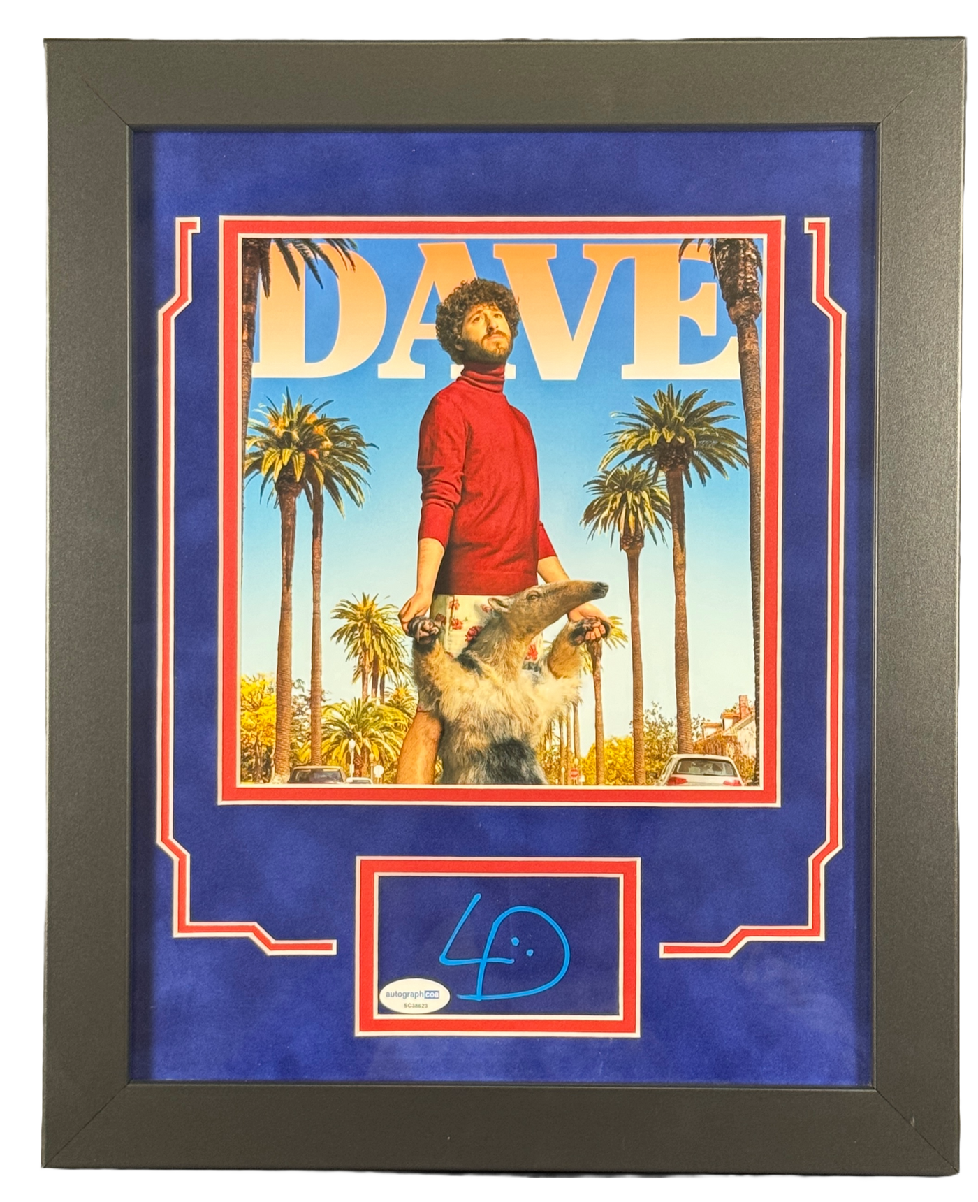 Lil Dicky Dave Burd Signed Cut Custom Framed Autographed ACOA COA