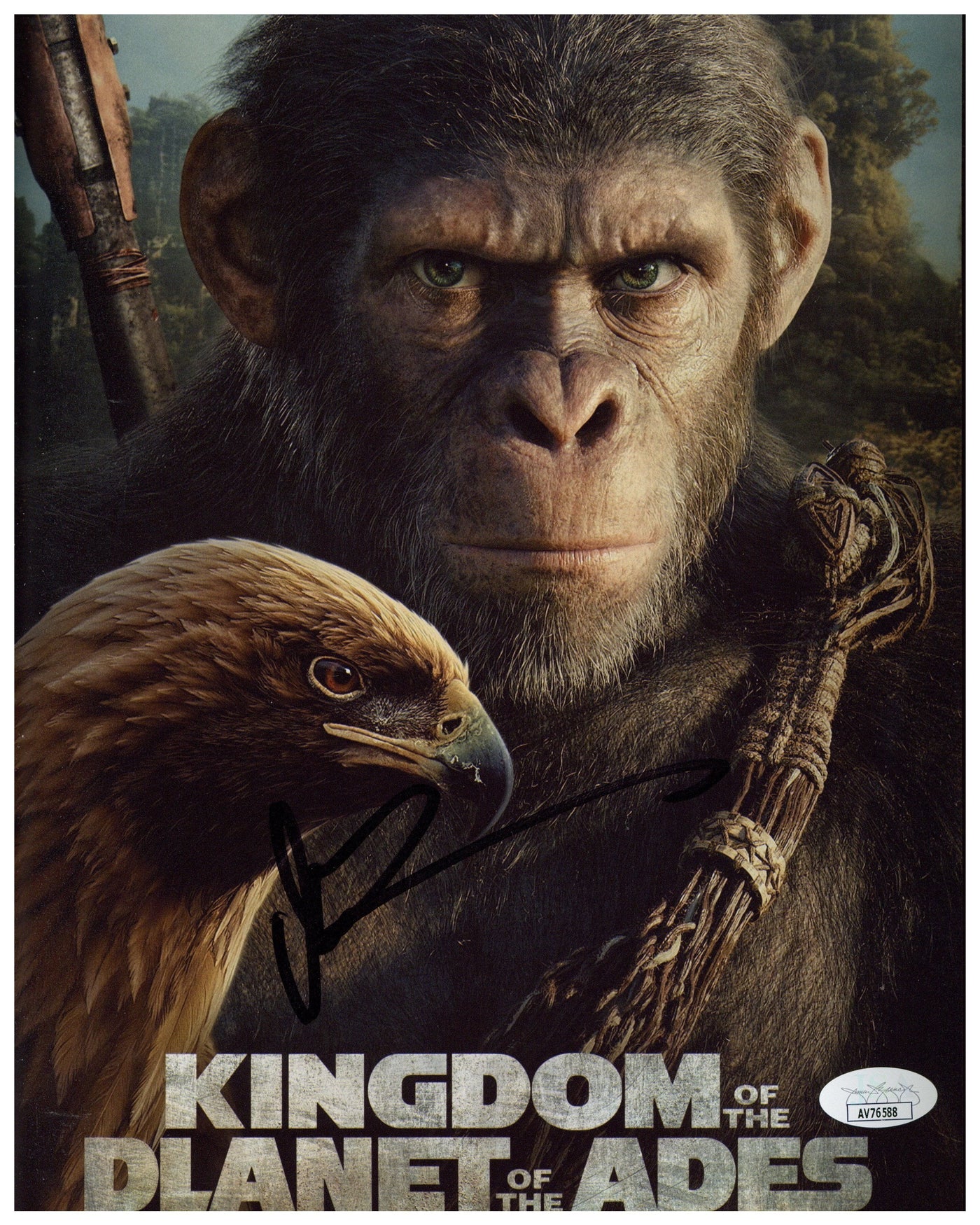 Owen Teague Signed 8x10 Photo Kingdom of the Planet of the Apes Autographed JSA