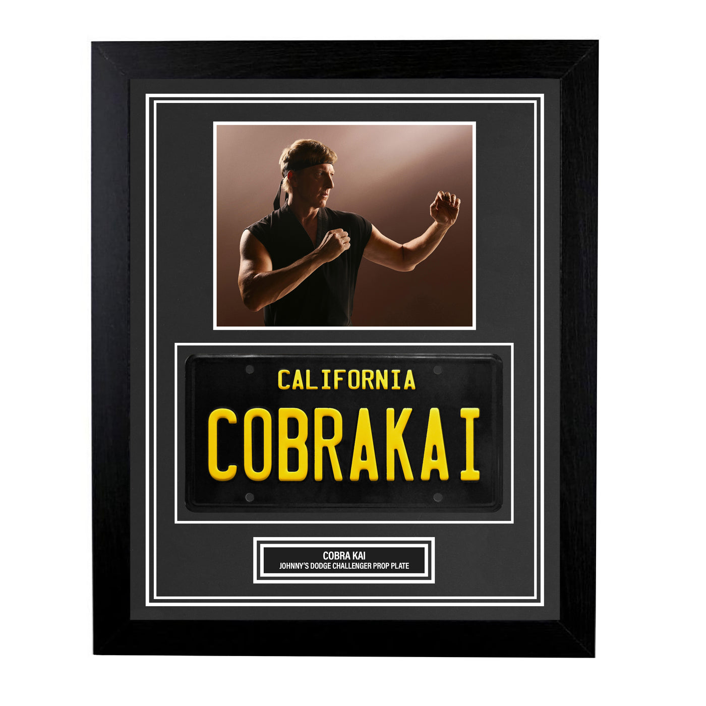 Cobra Kai California License Plate Custom Frame Movie Prop Display - The Karate Kid