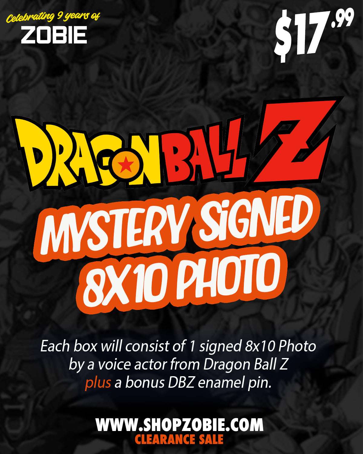 SPECIAL Dragon Ball Z Mystery 8x10 (+ Bonus DBZ Pin)