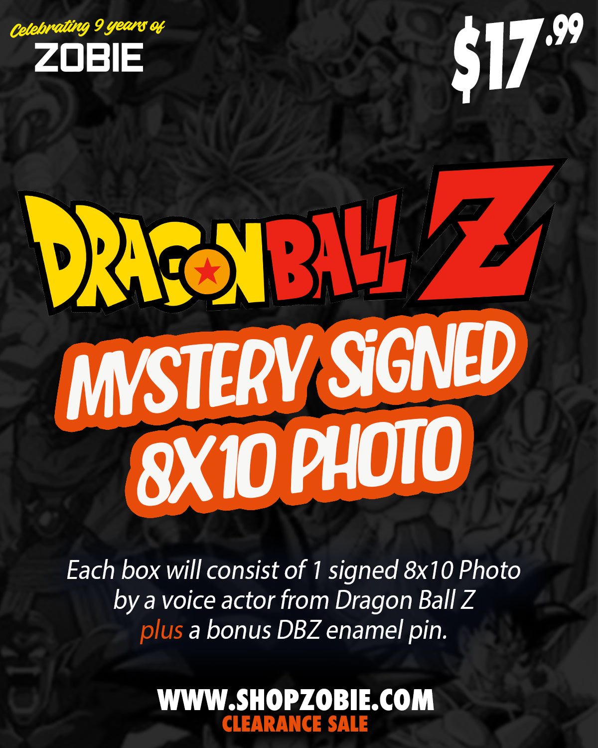 SPECIAL Dragon Ball Z Mystery 8x10 (+ Bonus DBZ Pin)