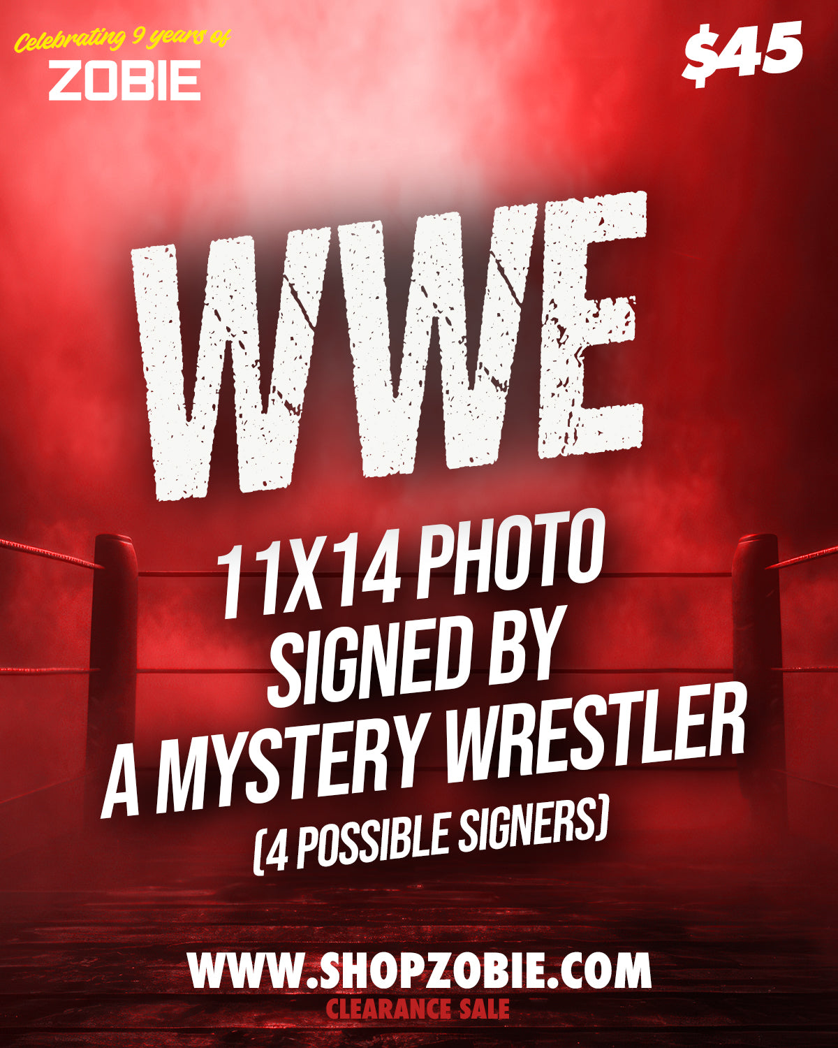 SPECIAL WWE Signed Mystery 11x14 Photo