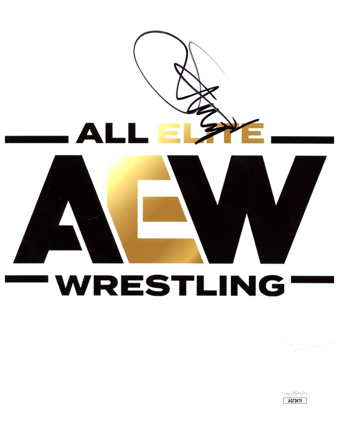 Sting Signed 8x10 Photo AEW Pro Wrestler Authentic Autographed JSA COA