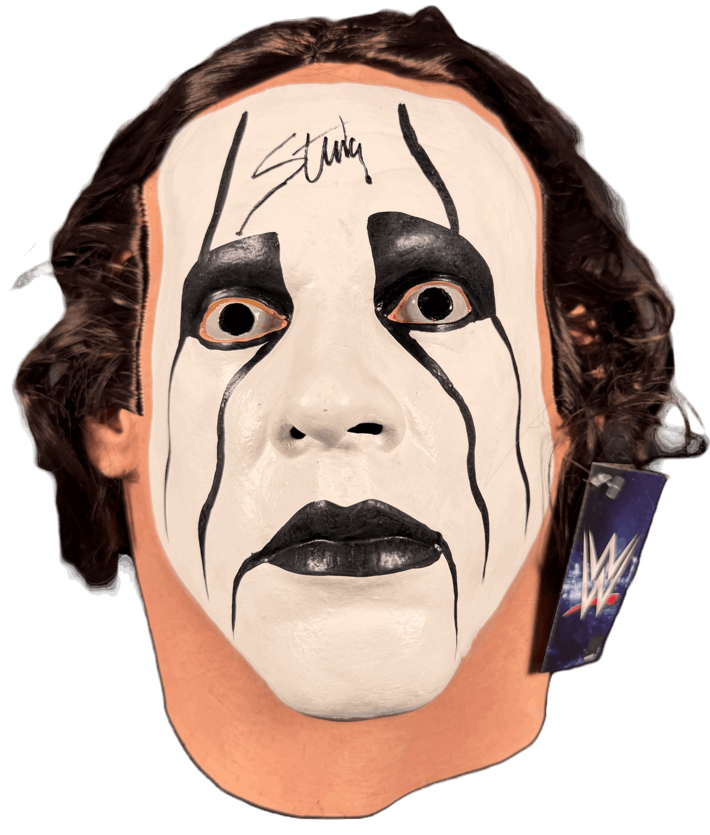 Sting Signed WWE Sting Deluxe Full Head Mask by Trick or Treat Studios JSA COA