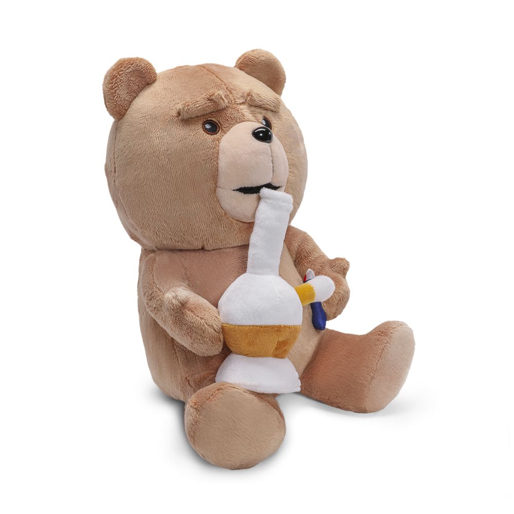 TED 13 INCH PLUSH WITH SOUND