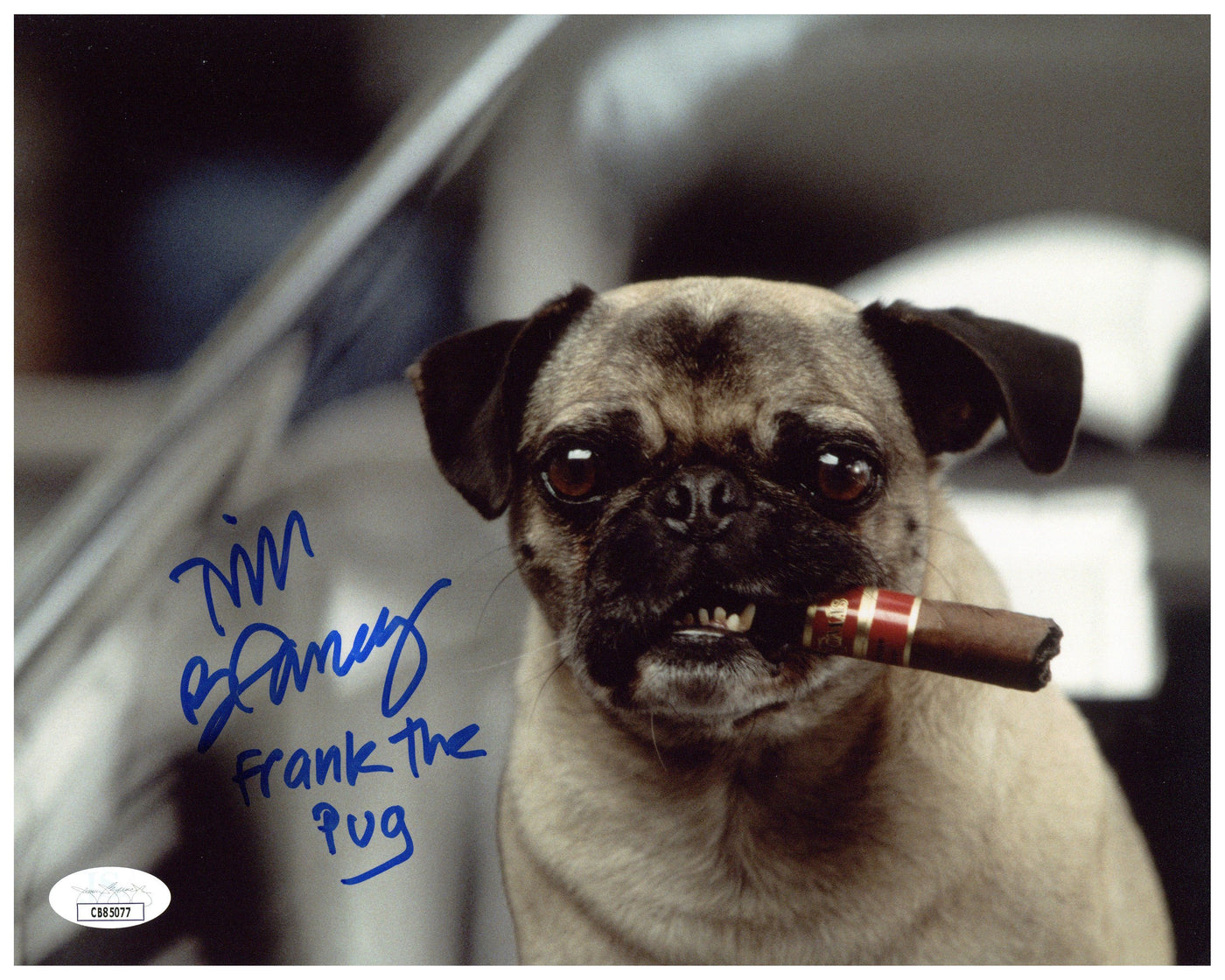 Tim Blaney Signed 8x10 Photo Men in Black Frank the Pug Autographed JSA COA