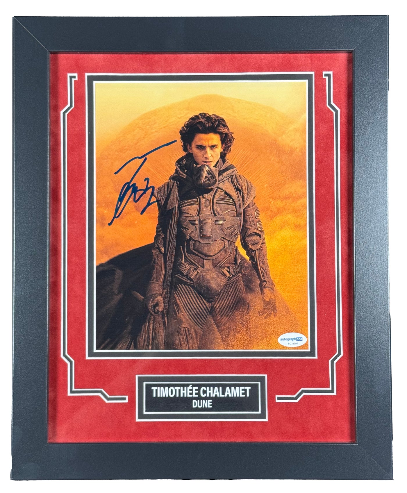 Timothée Chalamet Signed 8x10 Photo Custom Framed Dune Autographed JSA COA