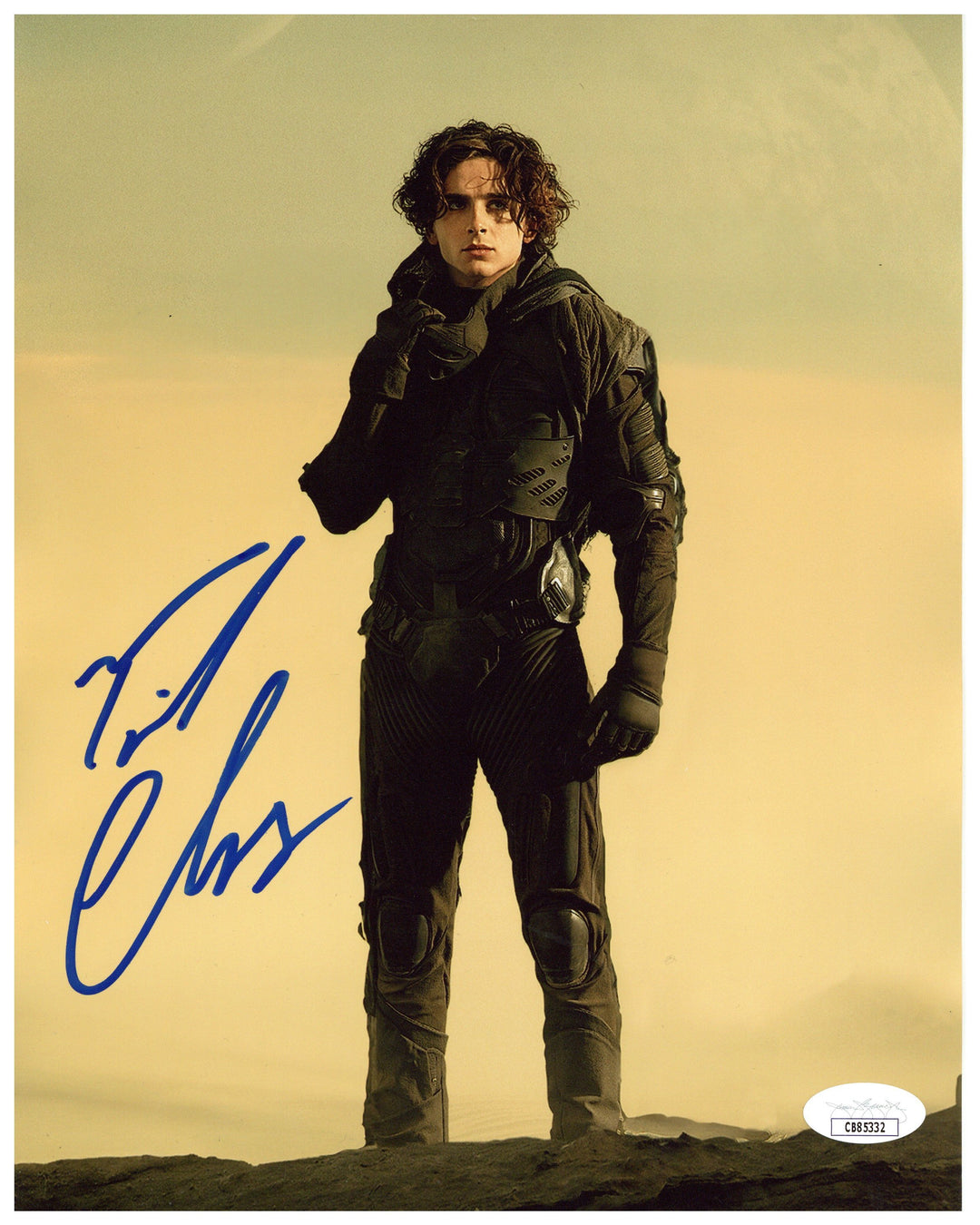 ティモシー・シャラメ　非売品・グッズ いろいろTimothee Chalamet ティモシー・シャラメ_ポストカード | シネマグッズ（フィギュア
