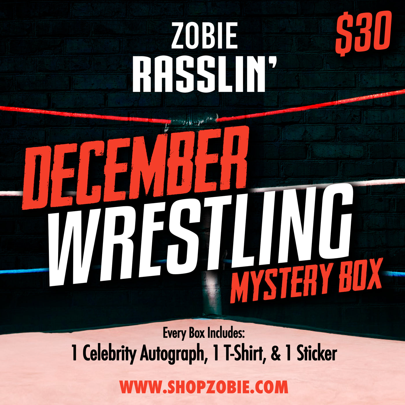 Zobie Rasslin' Mystery Box - December 2023