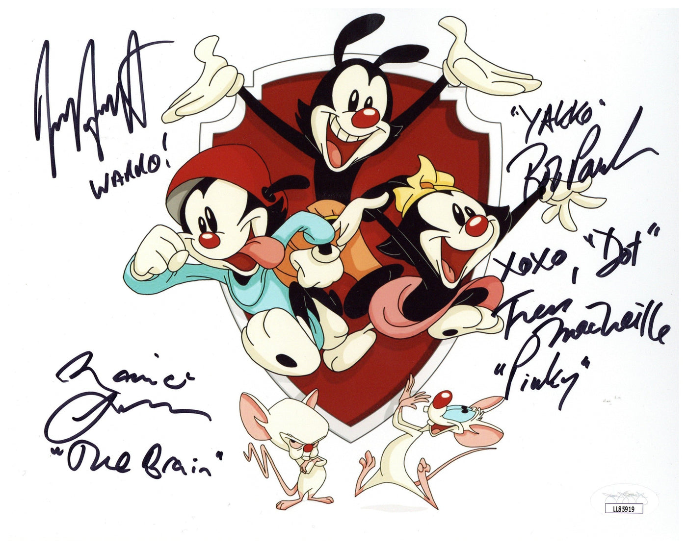 Animaniacs Cast Autograph 8x10 Photo Rob Jess Tress Maurice Signed JSA