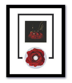 Image of Conan Gray Autographed Signed 11x14 Framed CD Superache ACOA 2