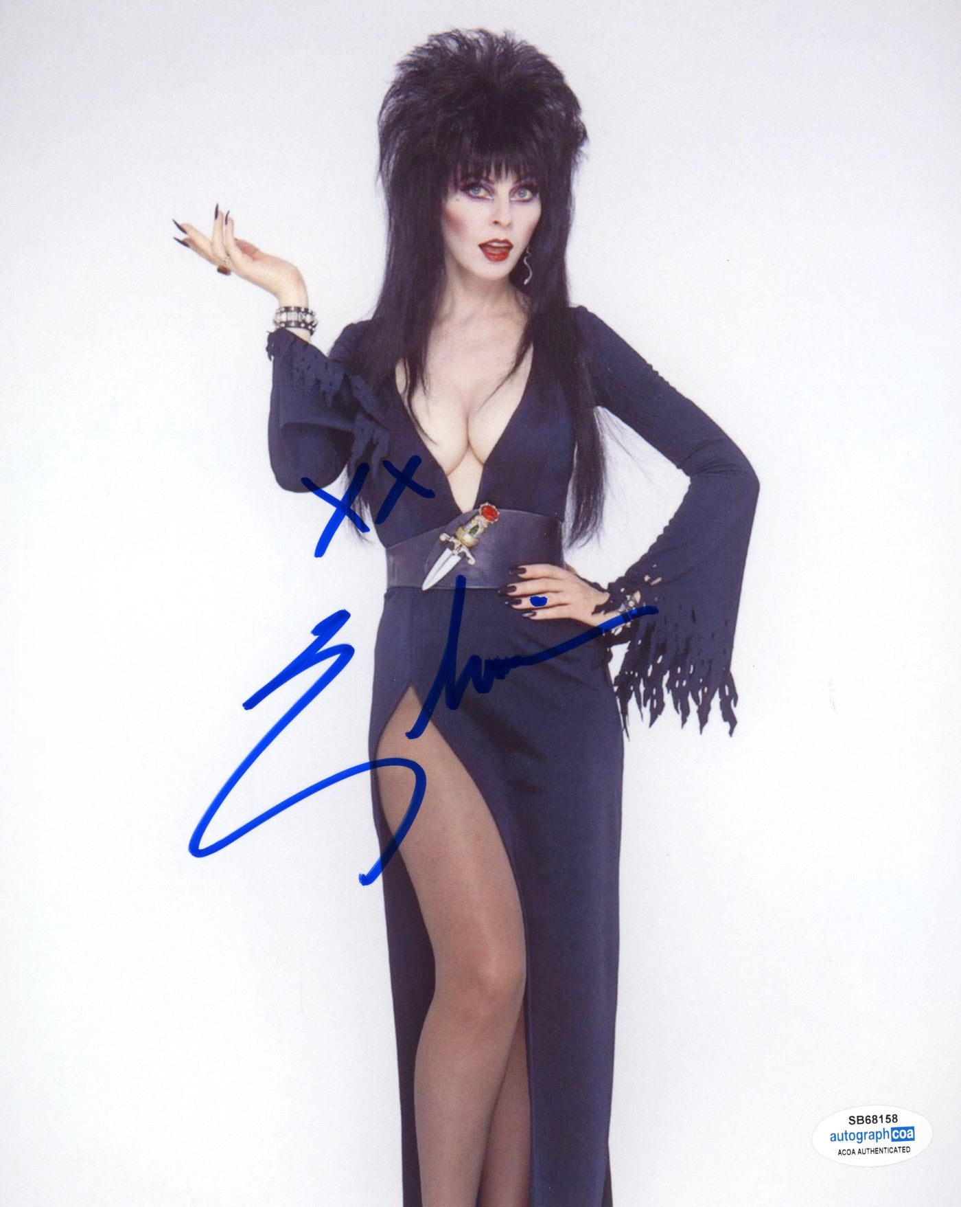 Elvira Autographed 8x10 Photo Mistress of the Dark Signed ACOA