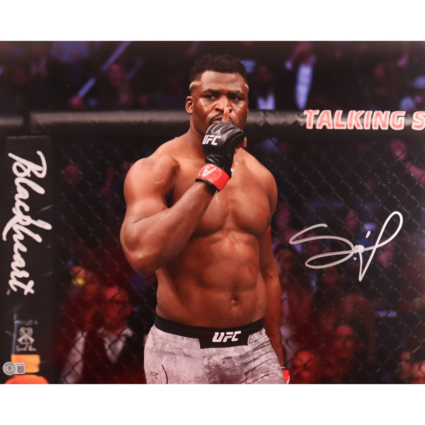 Francis Ngannou Signed 16x20 Photo UFC MMA Autographed BAS COA 2