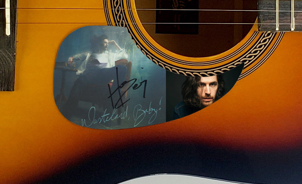 Hozier Autographed Signed Acoustic Guitar Wasteland, Baby! Sunburst AC ...