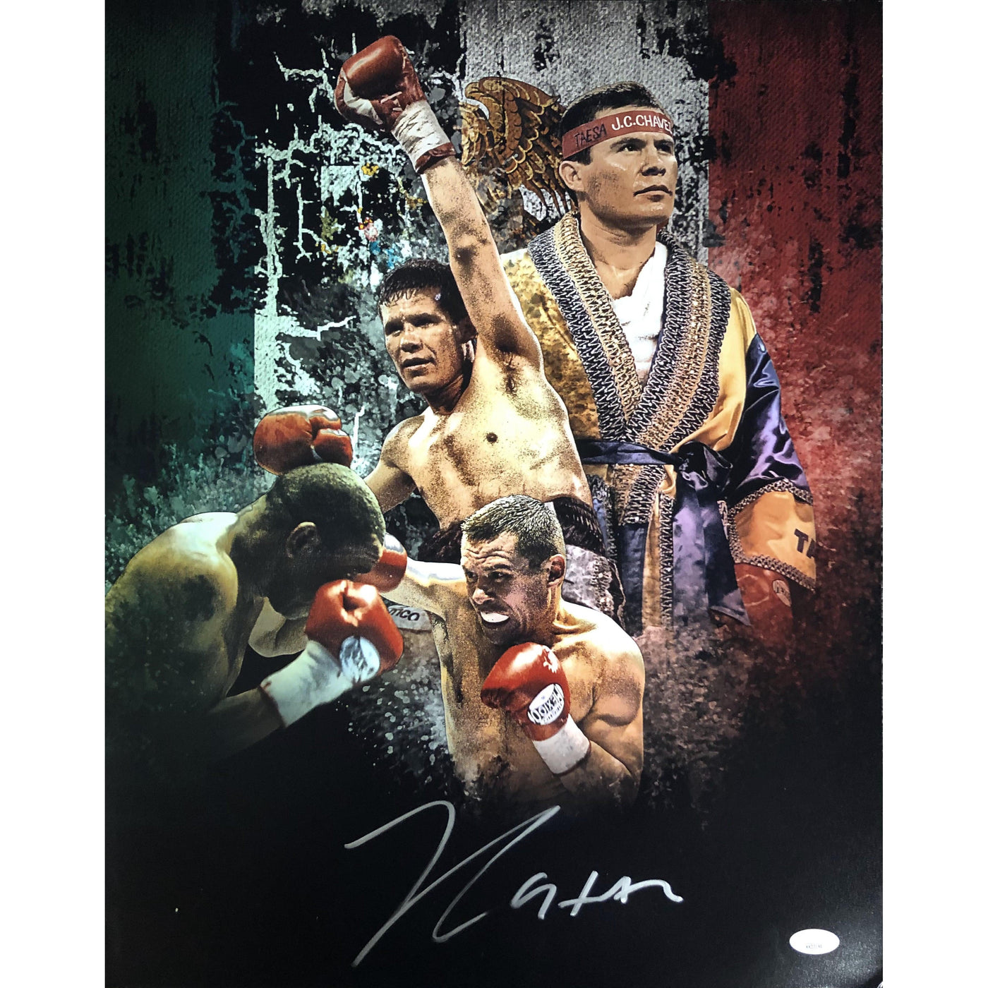 Julio Cesar Chavez Autograph 16x20 Photo Boxing Hall of Famer Signed JSA COA