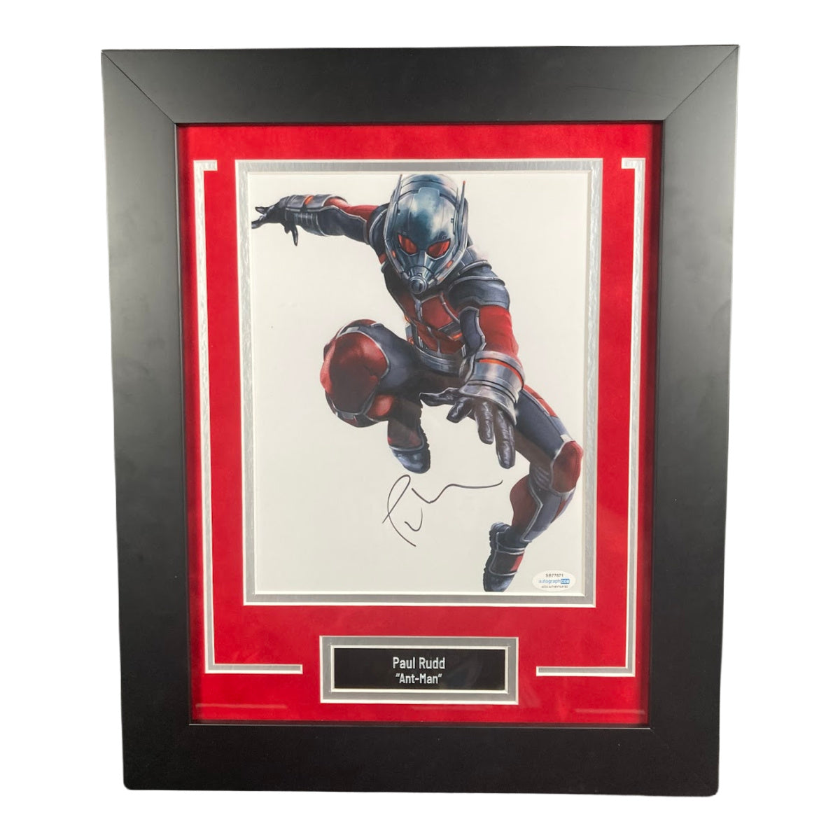 Paul Rudd Signed 8x10 Photo Custom Framed Marvel Ant-Man ACOA