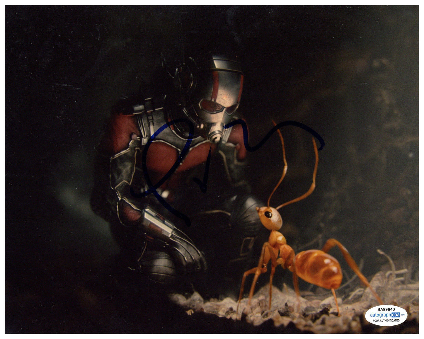 Paul Rudd Signed 8x10 Photo Marvel Ant-Man Autographed ACOA #2