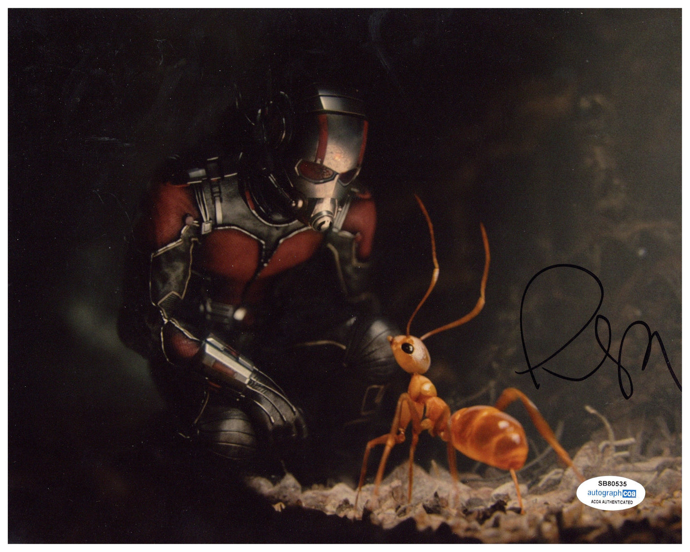 Paul Rudd Signed 8x10 Photo Marvel Ant-Man Autographed ACOA #3