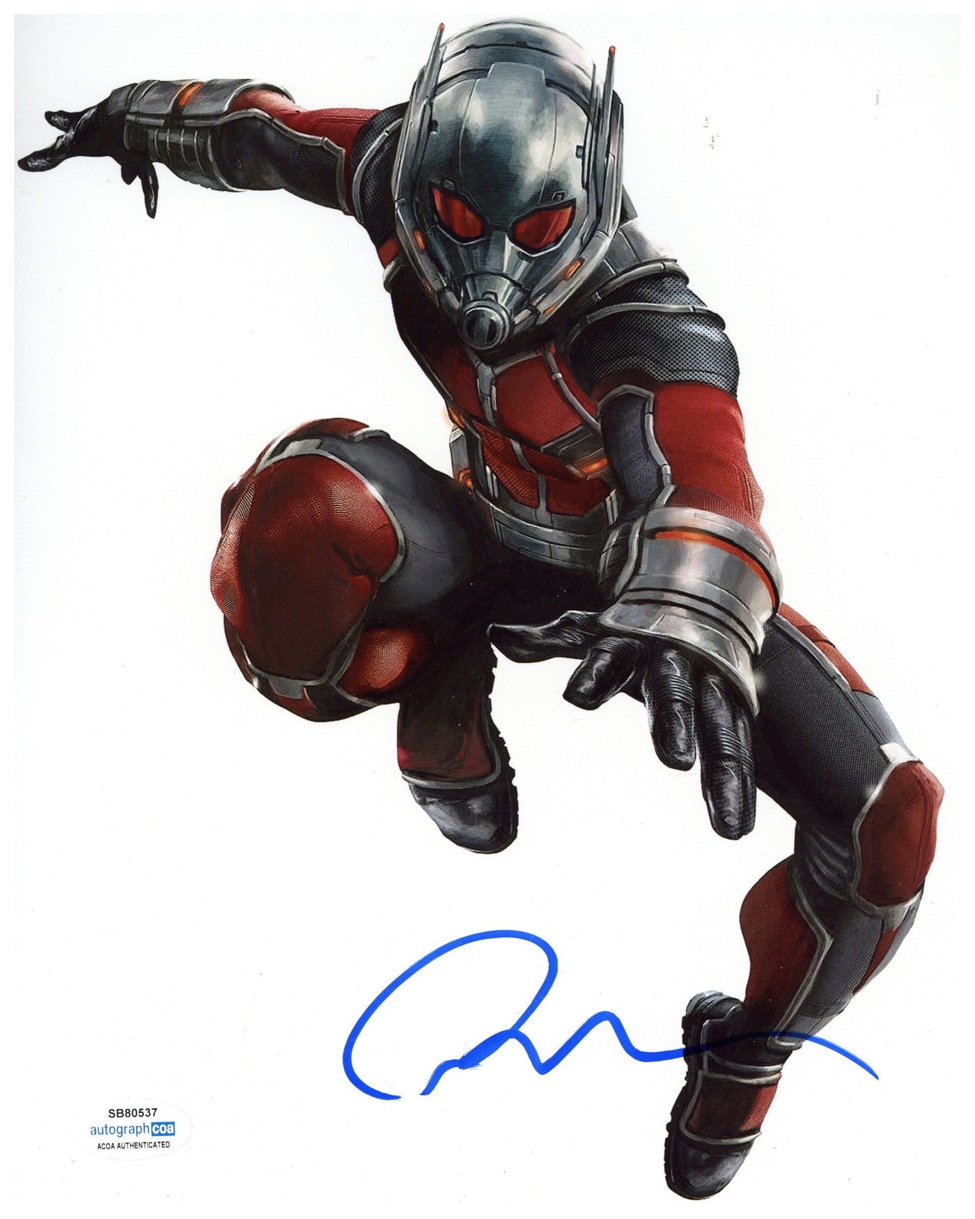 Paul Rudd Signed 8x10 Photo Marvel Ant-Man Autographed ACOA #5