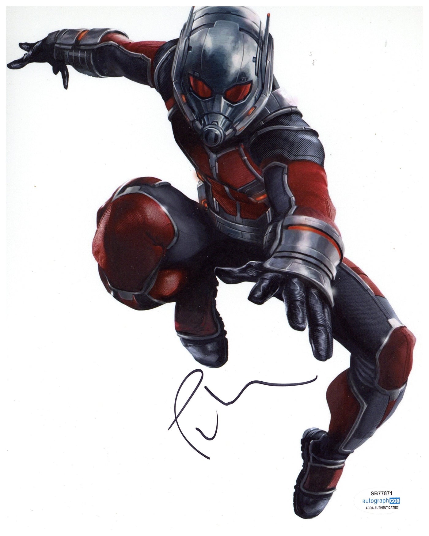 Paul Rudd Signed 8x10 Photo Marvel Ant-Man Autographed ACOA