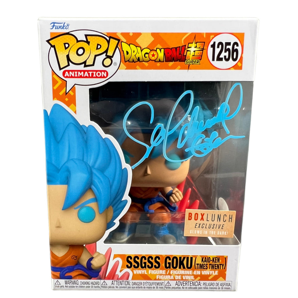 Sean Schemmel Goku