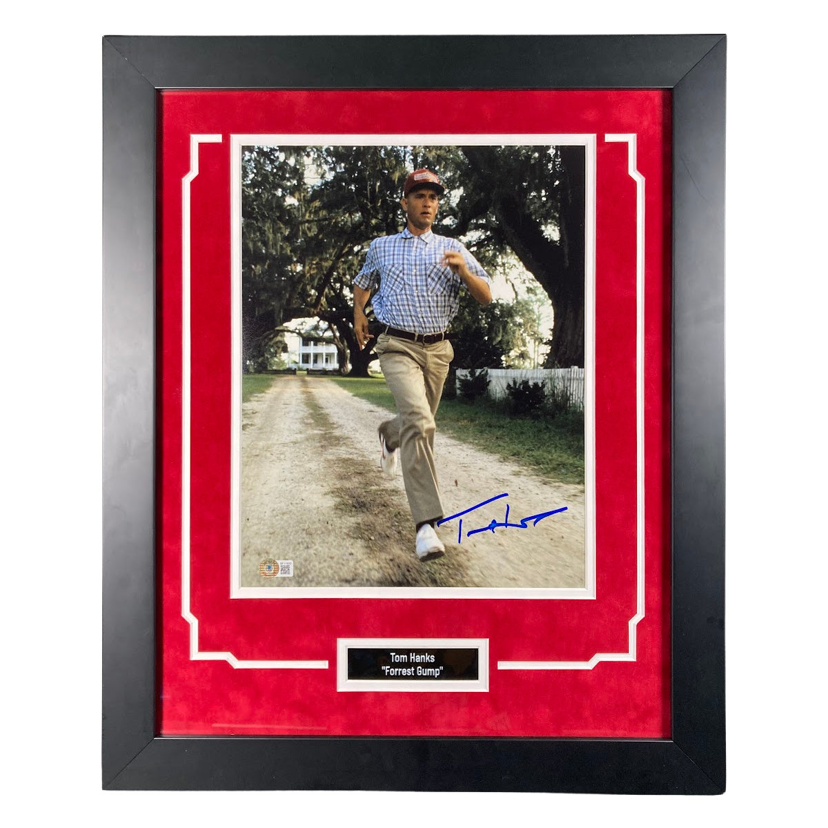Tom Hanks Signed 11x14 Photo Forrest Gump Custom Framed Autographed BAS