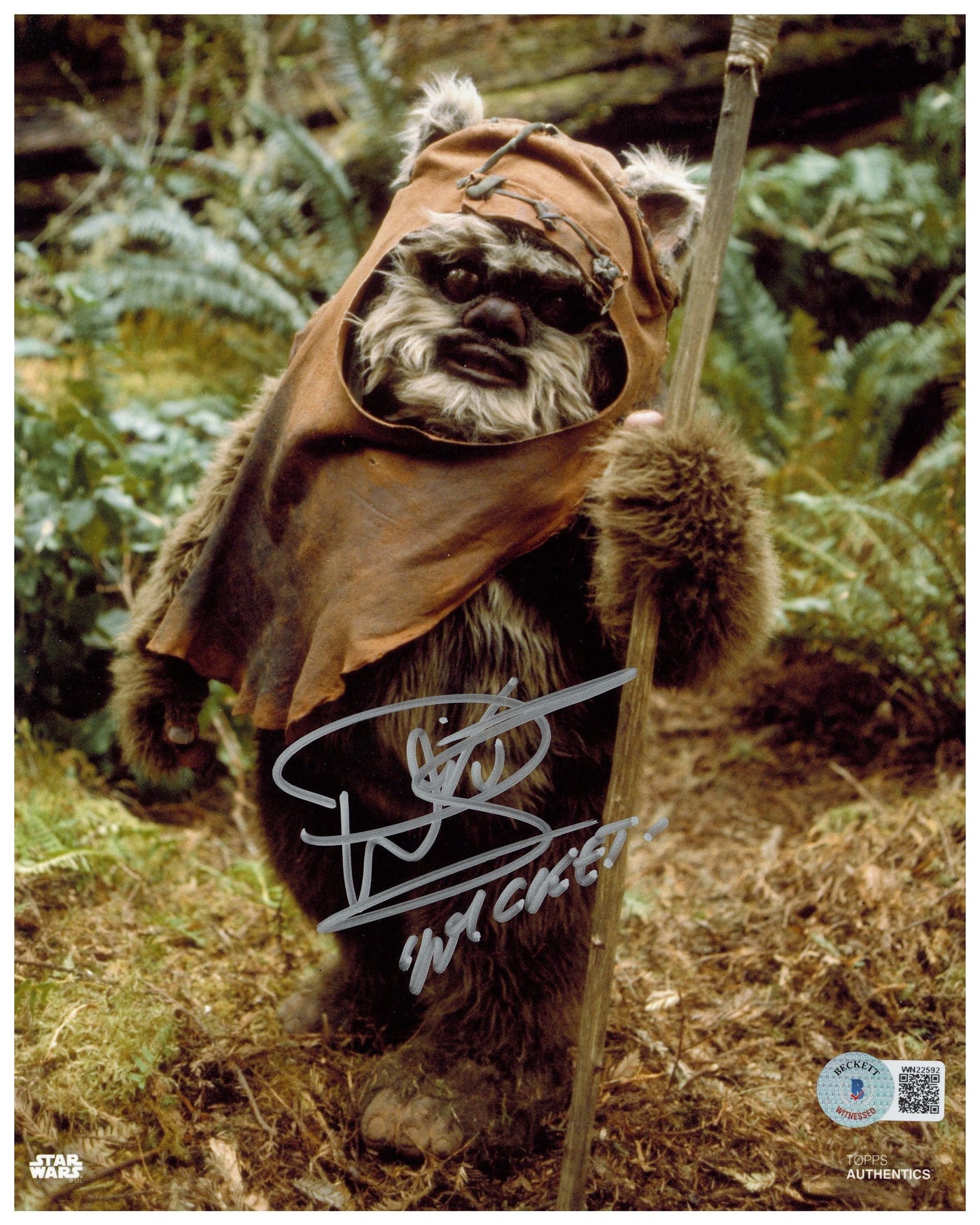 Warwick Davis Signed 8x10 Photo Star Wars Wicket Autographed TOPPS Beckett COA 2