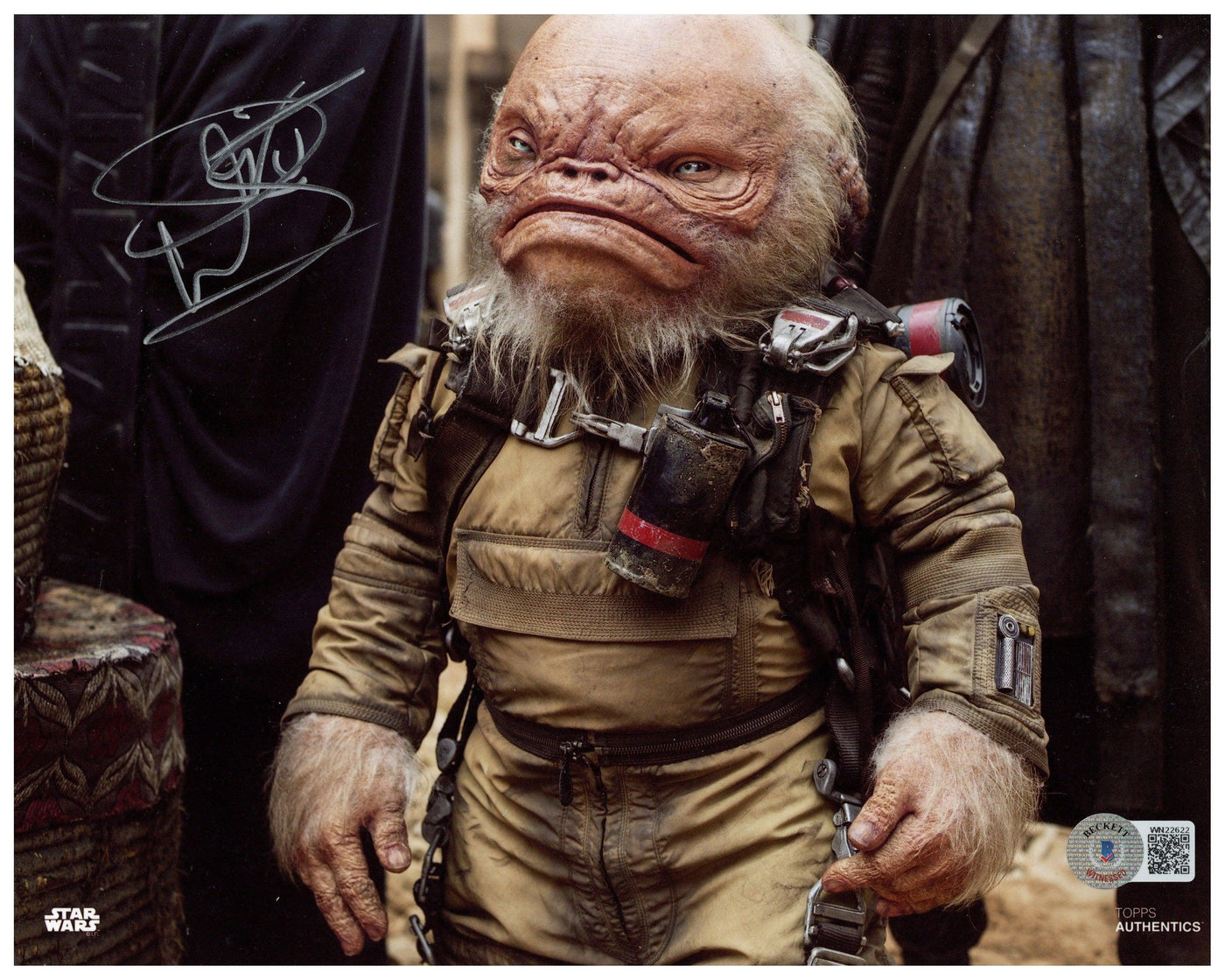 Warwick Davis Signed 8x10 Photo Star Wars Wicket Autographed TOPPS Beckett COA 3